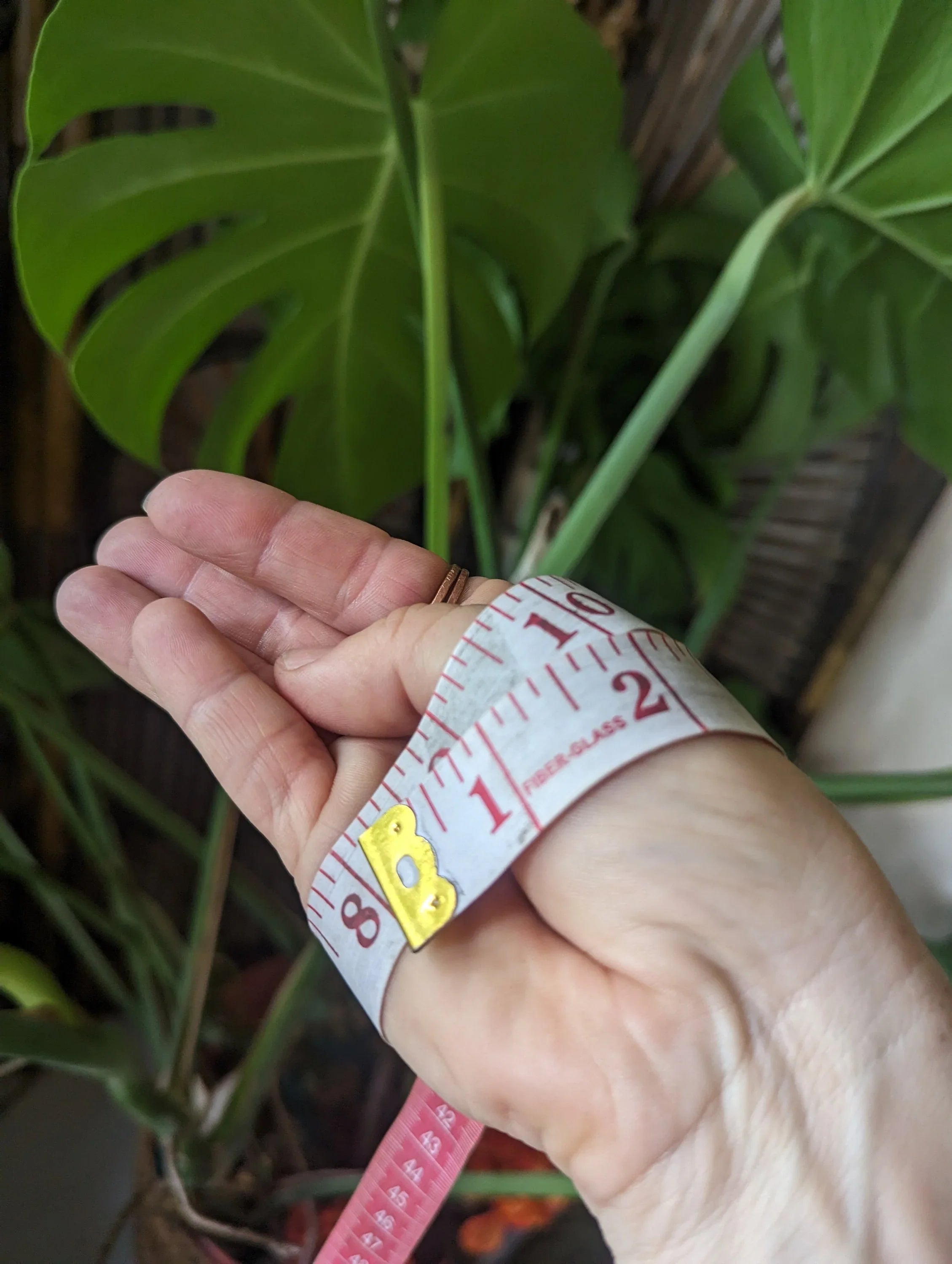 Kaiwi Custom Hawaiian Bangle - 14k Gold Filled Or Sterling Silver - Handcrafted Fine Jewelry by ShellDance Designs, Kona Hawaii
