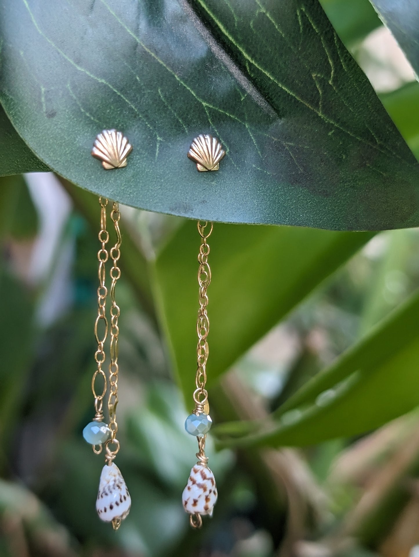 Seashell Backdrop Earrings