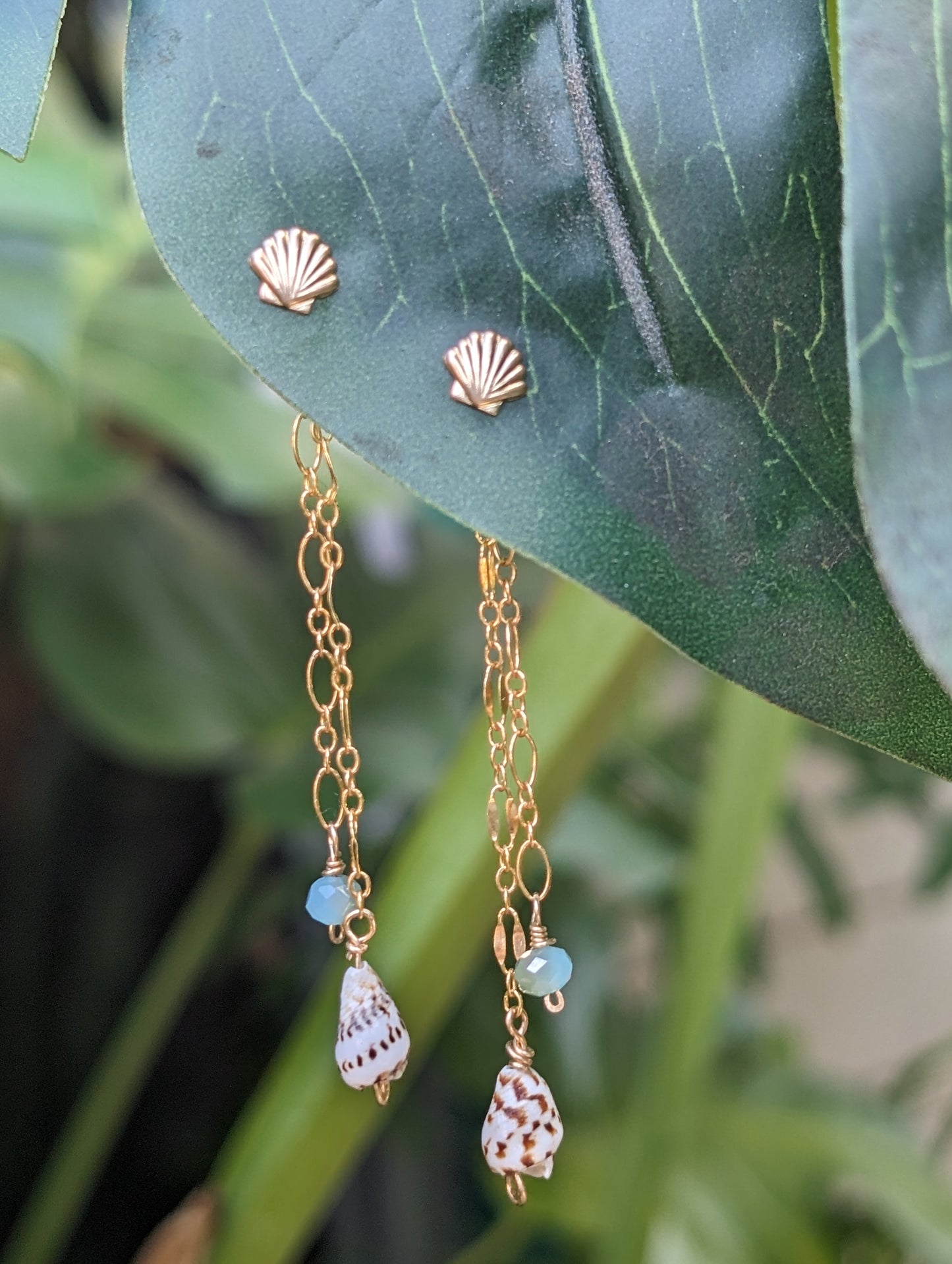 Seashell Backdrop Earrings