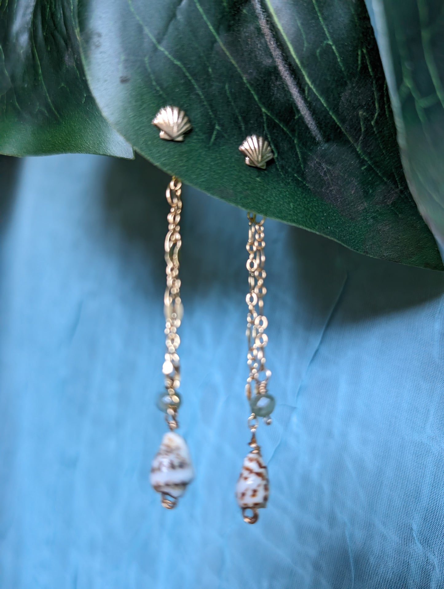 Seashell Backdrop Earrings