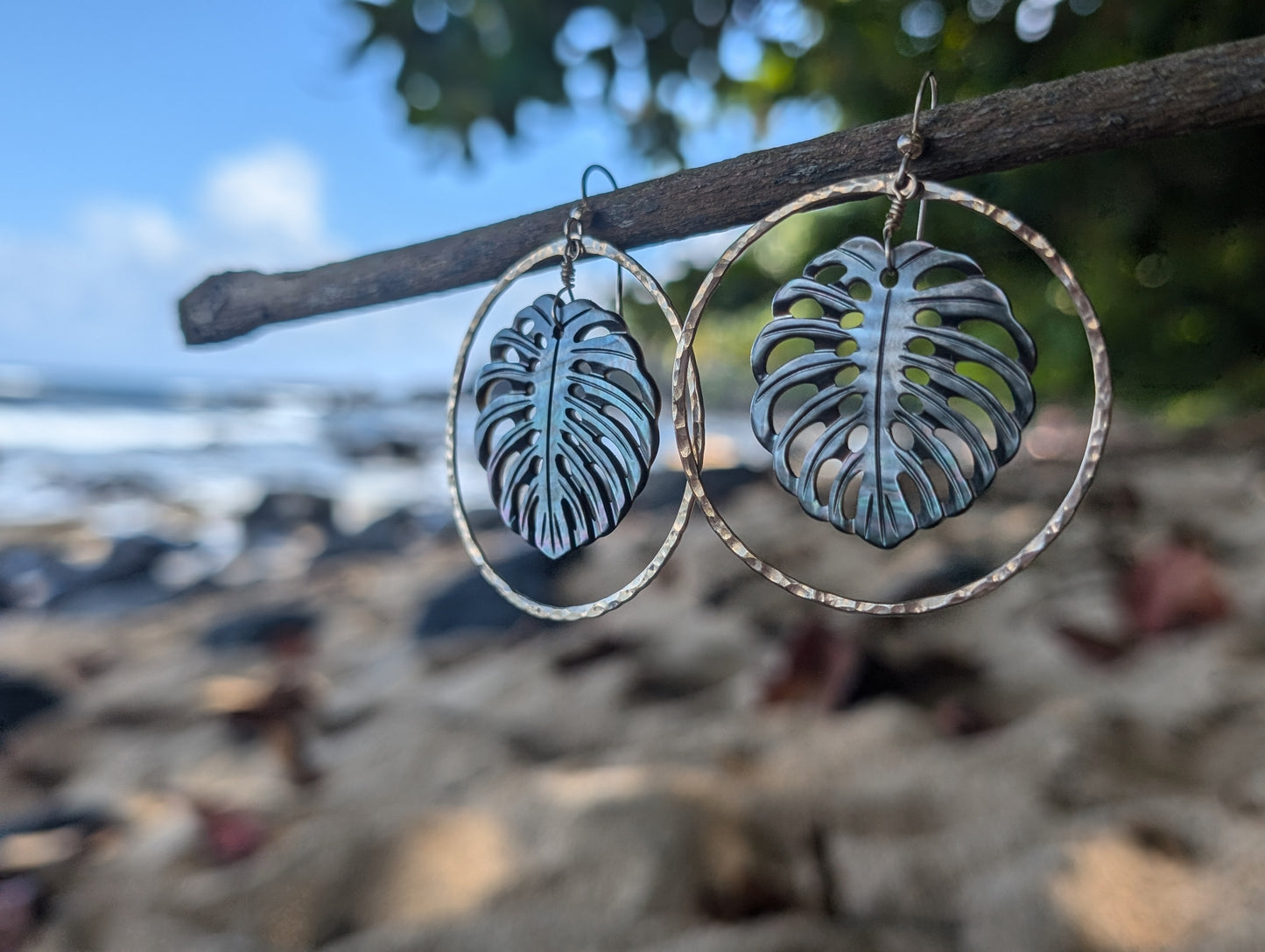 Monstera Shell Hoops